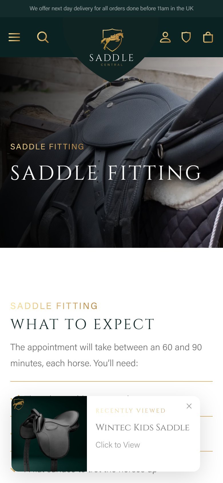 Current fitting page on mobile